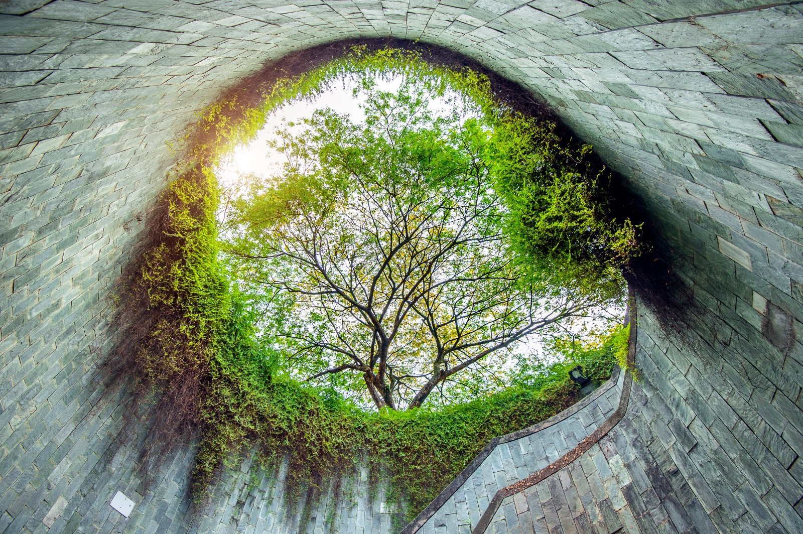 portfolio img
